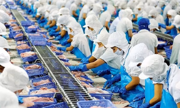 Xuất khẩu thủy sản tăng trưởng dương trở lại