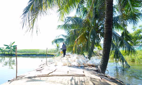 Phát huy vai trò của đoàn thể trong xây dựng nông thôn mới