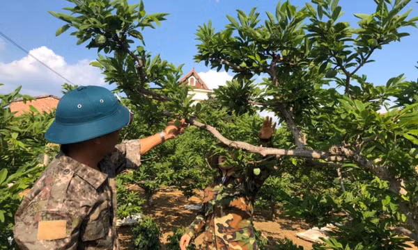 Khoa học và Công nghệ vì cuộc sống của nhân dân