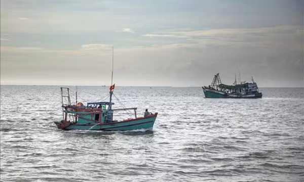 Mở đợt cao điểm về chống khai thác hải sản bất hợp pháp, không báo cáo và không theo quy định