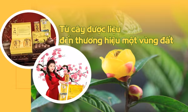 Bài 3: Từ cây dược liệu đến thương hiệu một vùng đất