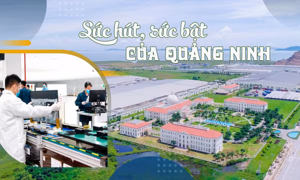 Sức hút, sức bật của Quảng Ninh