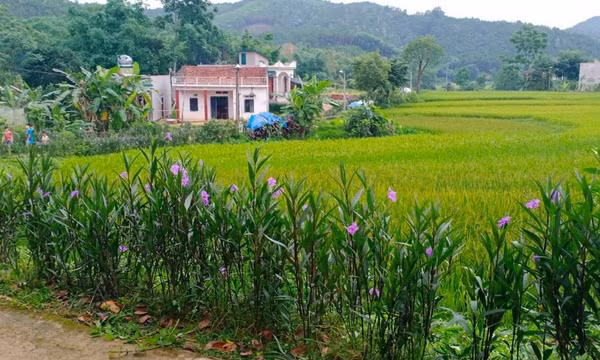 Cải thiện môi trường sống từ “5 không, 3 sạch”
