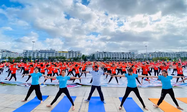 Sẽ có trên 3.000 người tham gia Ngày Quốc tế Yoga lần thứ 8 tại Quảng Ninh