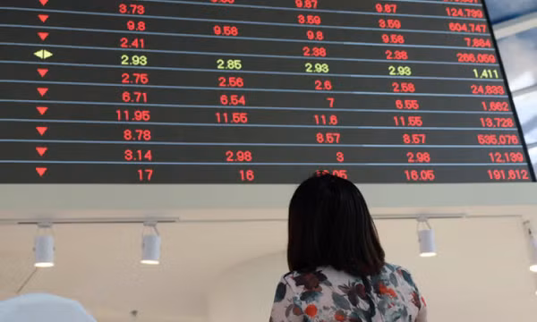 Thị trường chìm trong 'biển lửa', hơn 800 mã chứng khoán đồng loạt rớt giá