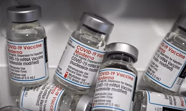 Moderna: Vaccine đặc hiệu chống biến thể Omicron sinh miễn dịch tốt