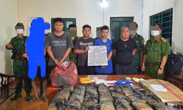 Vận chuyển thuê 174.000 viên ma túy với giá 320 triệu đồng