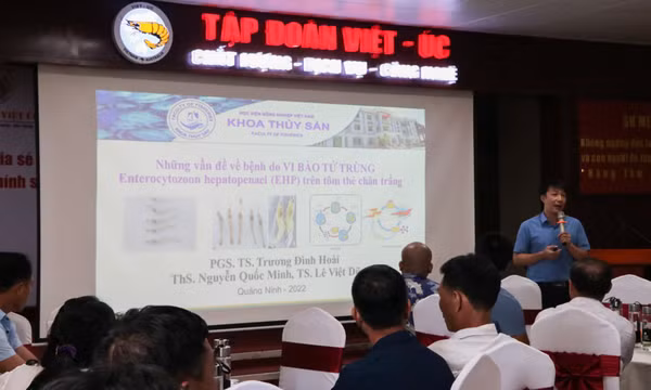 Huyện Đầm Hà: Hội thảo chia sẻ kỹ thuật mới trong nuôi tôm thẻ chân trắng