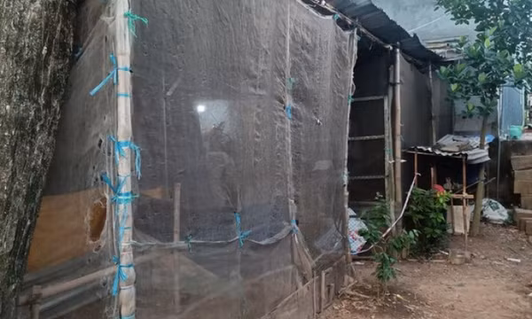 Bắt đối tượng siết cổ vợ vì nghi không chung thuỷ