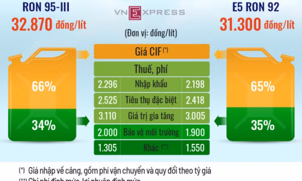 Gần một nửa tàu cá ngừng hoạt động vì giá xăng dầu cao kỷ lục