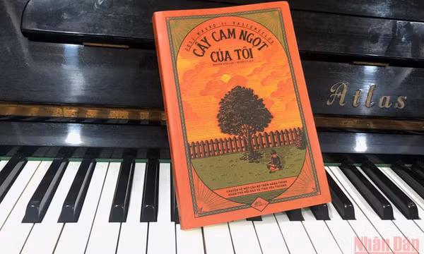 “Cây cam ngọt” mọc từ mảnh đất cằn