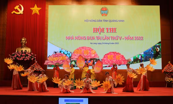 Sôi nổi Hội thi Nhà nông đua tài tỉnh Quảng Ninh lần thứ V-2022