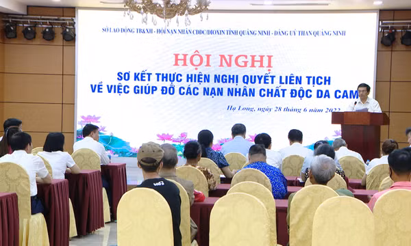 Sơ kết thực hiện Nghị quyết liên tịch giúp đỡ nạn nhân chất độc da cam