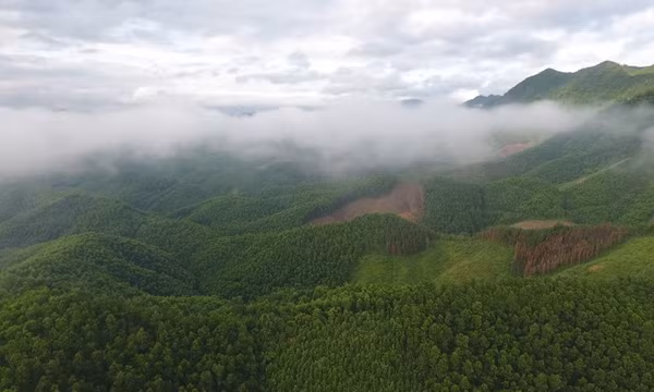 Bản tin Quảng Ninh ngày 20/6/2022