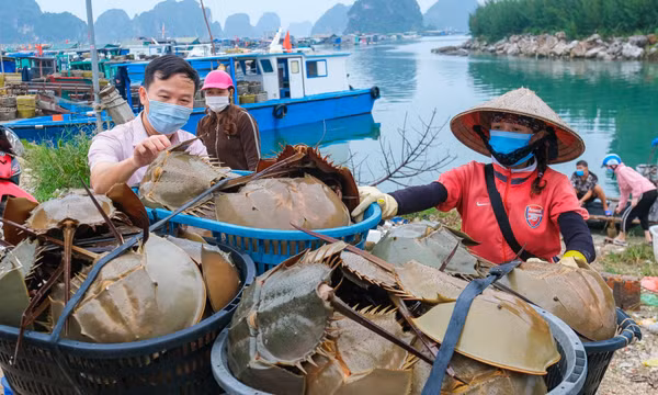 Quảng Ninh: 11 chương trình tín dụng chính sách sẽ được hỗ trợ lãi suất