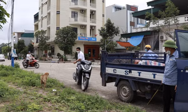 Tăng cường xử lý vi phạm trong quản lý vật nuôi thả rông