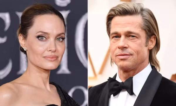 Brad Pitt cáo buộc Angelina Jolie làm tổn hại danh tiếng hãng rượu của mình