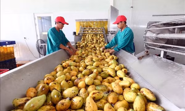 Xuất khẩu nông, lâm, thủy sản năm 2022 kỳ vọng sẽ vượt xa mục tiêu
