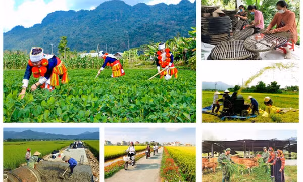 Thủ tướng Chính phủ đôn đốc triển khai quyết liệt các chương trình mục tiêu quốc gia
