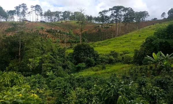 Bỏ nghề lao vào cơn sốt đất, giờ thất nghiệp đi chạy xe ôm