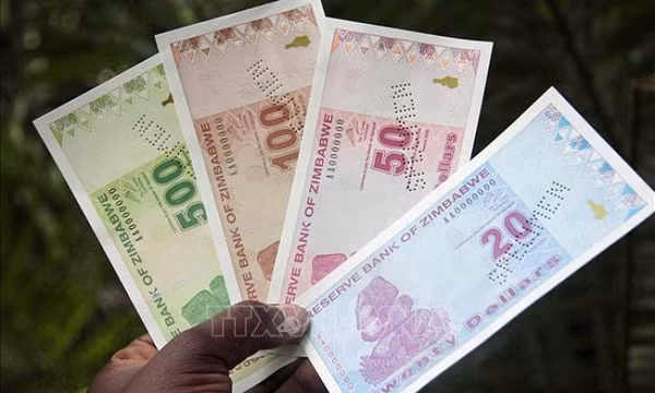 Lo ngại siêu lạm phát, Zimbabwe nâng lãi suất lên mức cao nhất thế giới