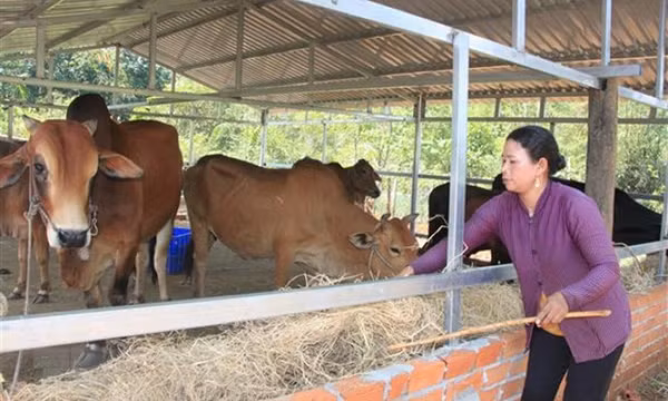 Chỉ thị của Ban Bí thư về công tác giảm nghèo bền vững đến năm 2030