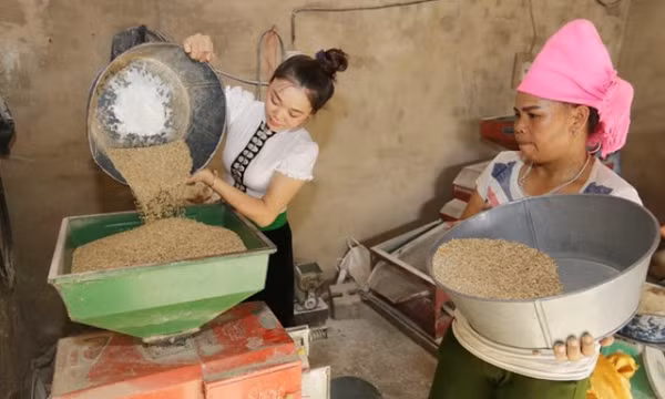 Tỷ lệ nghèo đa chiều chung của Việt Nam có xu hướng giảm