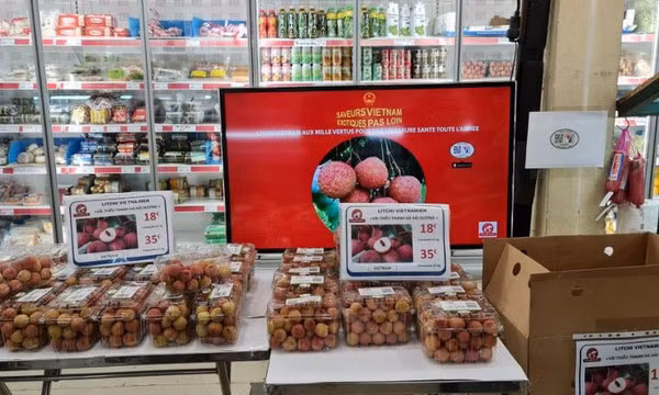 Vải thiều Thanh Hà bán giá nửa triệu đồng/kg tại Pháp