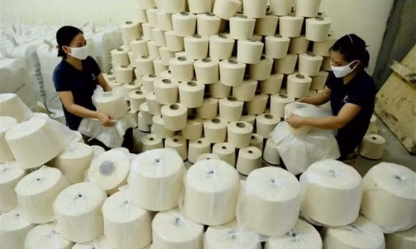 Hoa Kỳ kết luận chống bán phá giá sợi dún polyester Việt Nam