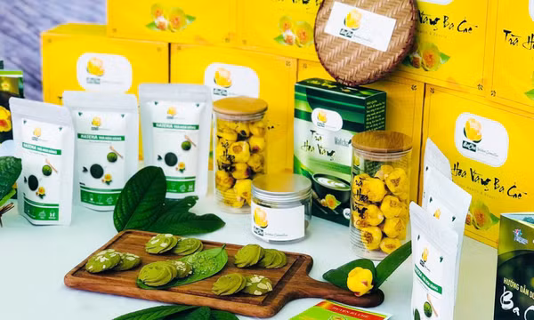 Bột Mát-cha từ lá trà hoa vàng