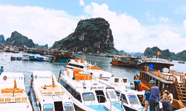 Cô Tô: Đề nghị tạm dừng hoạt động một số tuyến vận tải hành khách đến địa bàn 