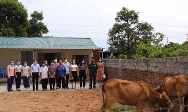 Móng Cái: Trao tặng bò giống cho hộ nghèo
