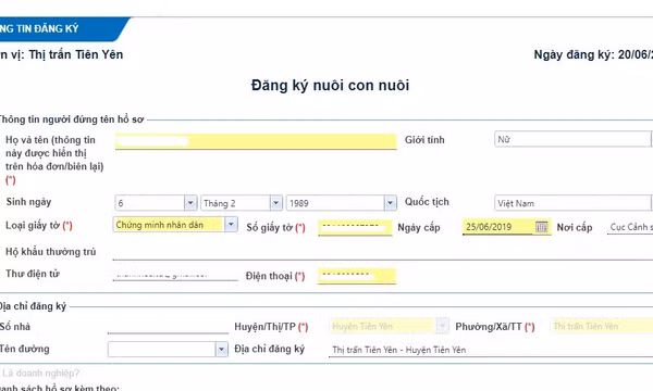 Nhiều bất cập trong thi hành Luật Nuôi con nuôi	