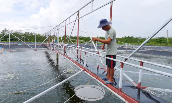 Phường Trưng Vương: Đổi thay sau sáp nhập