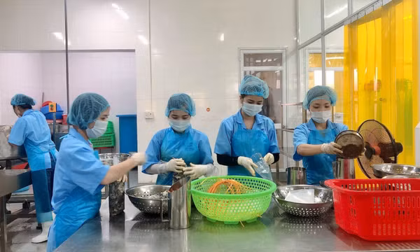 Sức bật của BAVABI 