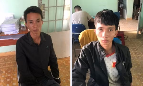 Hai anh em ruột rủ nhau đi trộm bò