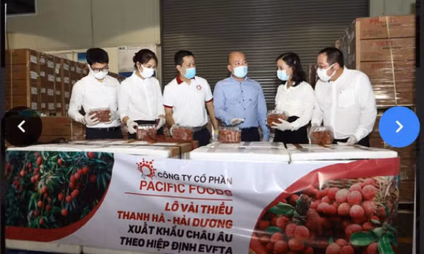 Vải thiều lần đầu xuất đi EU để hưởng ưu đãi EVFTA