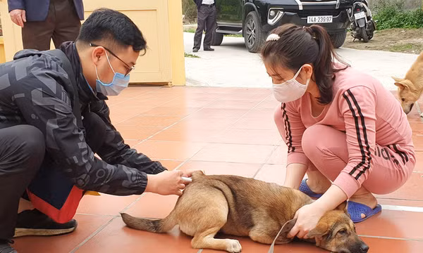 Cần xử lý nghiêm hành vi để động vật nuôi phóng uế nơi công cộng