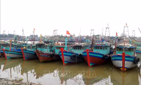 Bão số 2 gây thiệt hại lớn tại một số địa phương ven biển Nam Định