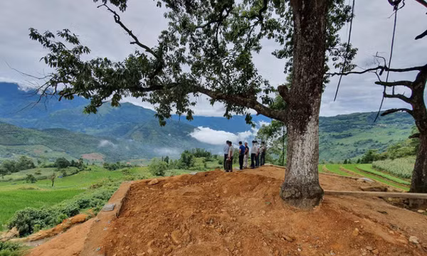 Bộ Văn hóa, Thể thao và Du lịch yêu cầu báo cáo vụ bê tông hóa điểm ngắm cảnh ở Y Tý