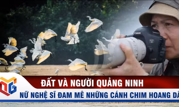 Nữ nghệ sĩ đam mê những cánh chim hoang dã