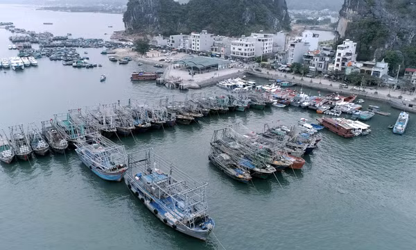 Từ 16h ngày 12/6: Quảng Ninh tạm ngừng cấp phép cho các phương tiện thủy ra khơi