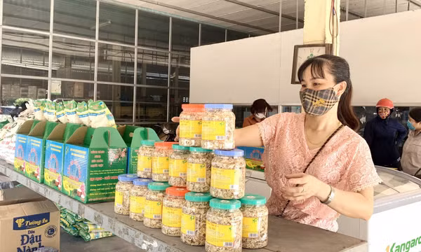 Mở rộng BHXH, BHYT trong khu vực hợp tác xã