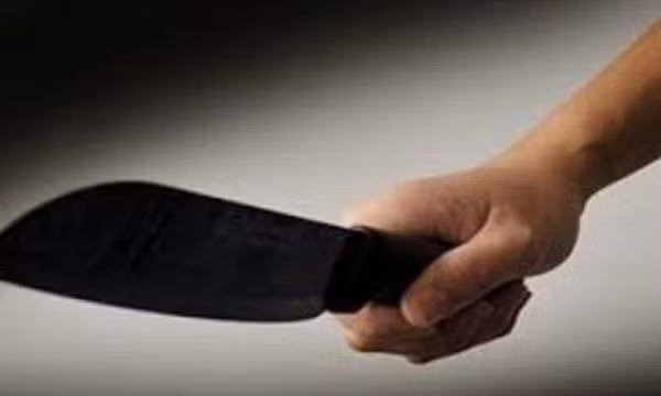 Con rể sát hại cả bố mẹ vợ lẫn vợ rồi ra công an đầu thú