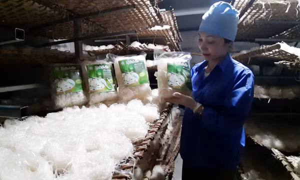 Cẩm Phả: Thúc đẩy phát triển sản phẩm OCOP 