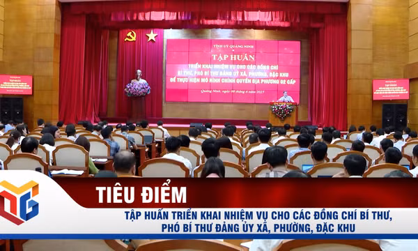 Quảng Ninh: Tập huấn triển khai nhiệm vụ cho đội ngũ cán bộ chủ chốt cấp xã, phường mới