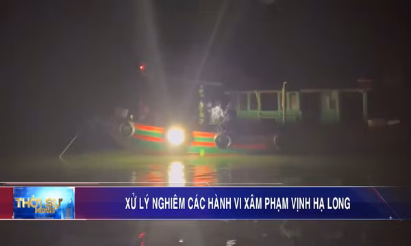 Xử lý nghiêm các hành vi xâm phạm Vịnh Hạ Long