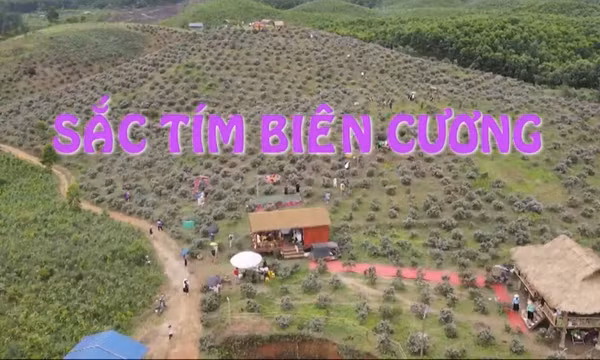 Sắc tím biên cương