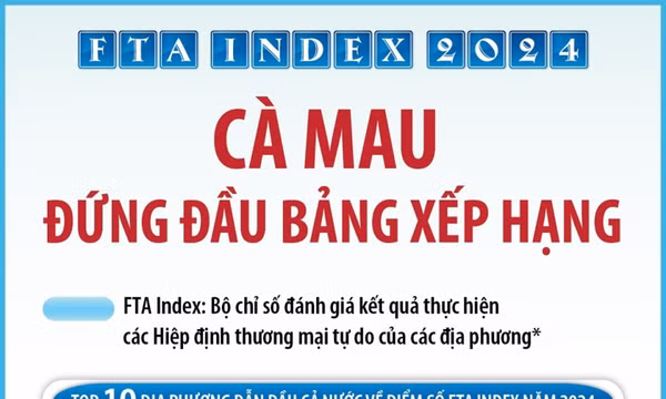 FTA Index năm 2024: Cà Mau đứng đầu bảng xếp hạng