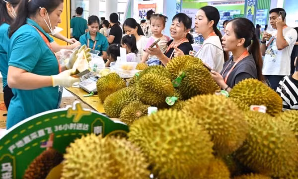 Các nước cạnh tranh khốc liệt thị phần sầu riêng Trung Quốc